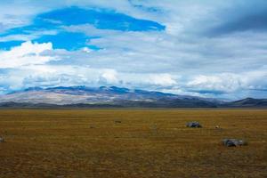 Bright steppe landscape with a piece of rock photo