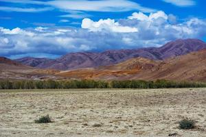 Mountain View steppe landscape