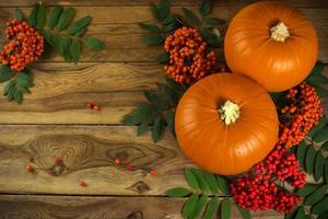 pumpkins and rowan photo