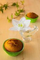 Muffins, flower, leaves photo