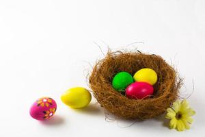Multicolored Easter eggs in a nest photo