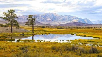 paisaje de pradera de estepa otoñal foto