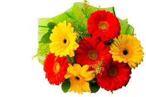Red and yellow daisy bouquet photo