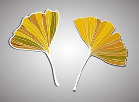 Vector illustration of ginkgo biloba leaf. ink line art design