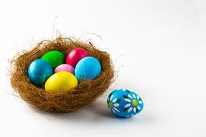 Easter eggs in a nest photo