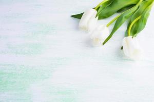White tulips greeting card photo