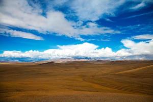 The road crosses the steppe photo