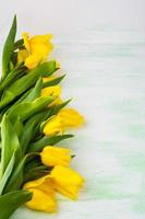 Row of yellow  tulips on light green background, vertical, copy space photo
