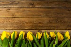 Yellow  tulips row on wooden background, copy space photo