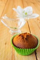 Muffin and white flower photo