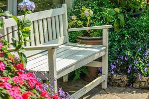 chair in the garden photo