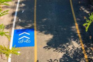 Bike lane signs photo