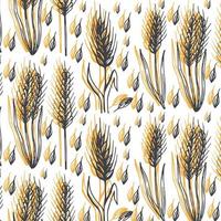 Ears of wheat or rye seamless pattern, illustration on white background, isolated vector