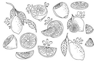 Lemon vector doodle elements and lettering set. The hand drawn outline of whole fruit, lemons on a branch, cut lemon, lemon leaves, splashes of juice. Black line art on white.