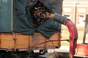cargador de vacío industrial pesado cargando hojas caídas y basura en el cuerpo del camión. servicios municipales limpieza del área del parque eliminación de follaje y escombros foto