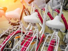 Pink bikes, Bicycle shop close-up photo