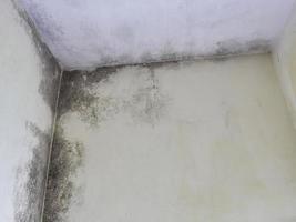 the room roof is leaking. Mold on the ceiling photo