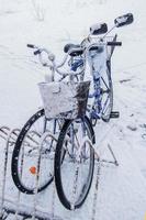 The bikes are in the snow. Snowy winter photo