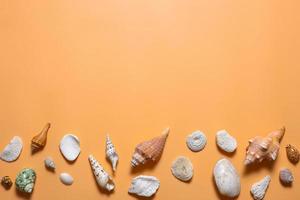 Creative flat lay of various sea shell with copy space for mock up background