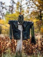 a Scarecrow in an autumn garden close up photo