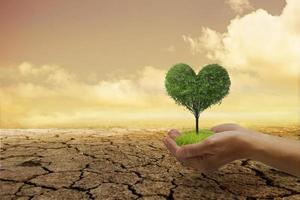 problemas ambientales, proteger la naturaleza y salvar el mundo. un pequeño árbol de corazón verde en la mano, listo para plantar, con un fondo que es tierra árida y agrietada. foto