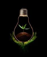 Green hand holding a light bulb with fresh green leaves inside, isolated on black background.
