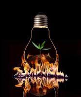 A light bulb with fresh green leaves inside on the fire, isolated on black background. photo