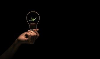 Hand holding bulb with green tree inside isolate on black background. photo
