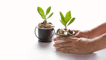 Hands protect growing plant of coins represented saving money growing up. Business, finance and banking concept photo