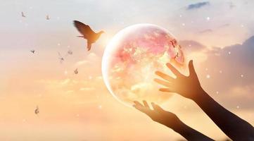 Woman touching planet earth of energy consumption of humanity at night, and free bird enjoying nature on sunset background, hope concept, Elements of this image furnished by NASA photo