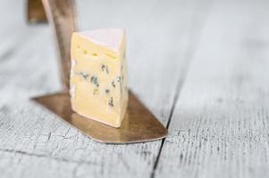 Blue cheese with white mould photo