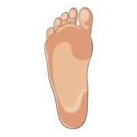 Foot sole illustration for biomechanics, footwear, shoe concepts, medical, health, massage, spa, acupuncture centers. Realistic cartoon style, colored with skin tones. Vector isolated on white.