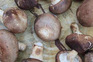 hongos shiitake en una tabla de cortar de madera foto