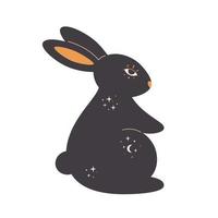 Rabbit with esoteric, mystic, magician elements. Year of the Rabbit. vector