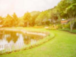 Blurred garden park natural background photo