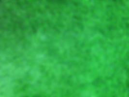 abstract blurred green grass background photo