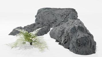 Realistic 3D rendering of rocks and plants, white background. Suitable for use in various applications photo