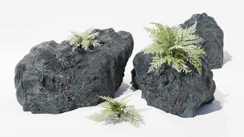 Realistic 3D rendering of rocks and plants, white background. Suitable for use in various applications photo