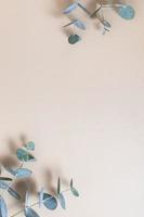 Eucaliptus leaves on beige background. Copy space. Blue-Green leaves on branch for abstract natutal backdrop photo