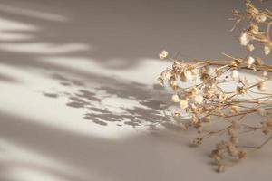 Dry small gypsophila flowers with shadow on a beige background. Variable focus photo