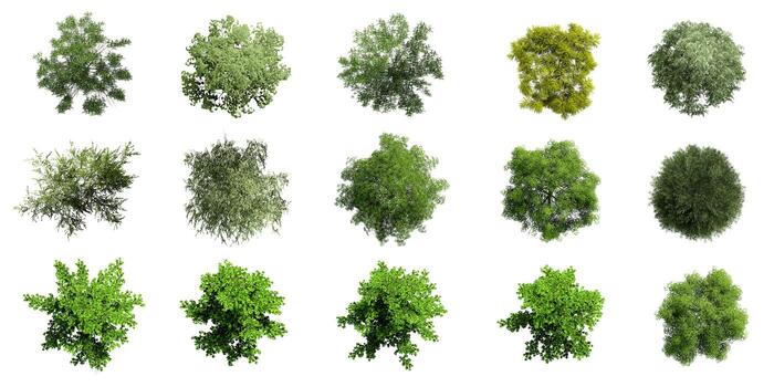 Collection of 3D Top view Green Trees Isolated on white background , Use for visualization in architectural design photo
