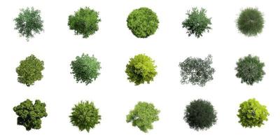 Collection of 3D Top view Green Trees Isolated on white background , Use for visualization in architectural design photo