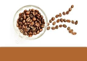 coffee beans in cup photo