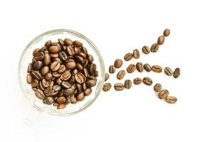 coffee beans  isotation on white background photo