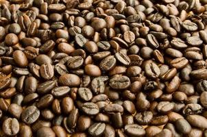 Aislamiento de granos de café sobre fondo blanco. foto