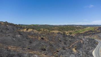 Aerial drone view of burned forest next to the road. Dark land and black trees caused by fire. Forest fire. Climate change, ecology and land. photo