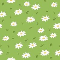 Green pattern with summer daisies vector