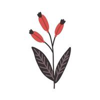 Burgundy berries of the plant hand drawn vector