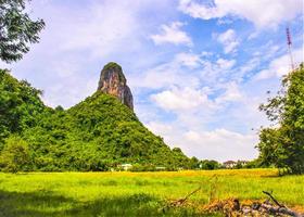 alta montaña verde brillante belleza naturaleza foto