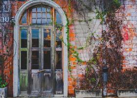 Old wooden door with orange brick walls and ivy. photo